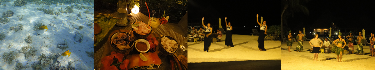 DSC05657 のコピー