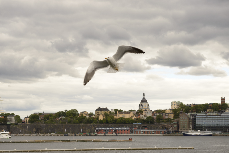 だから旅に出る